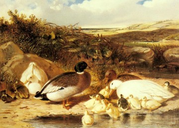 Patos y patitos en un río Herring Snr John Frederick caballo Pinturas al óleo